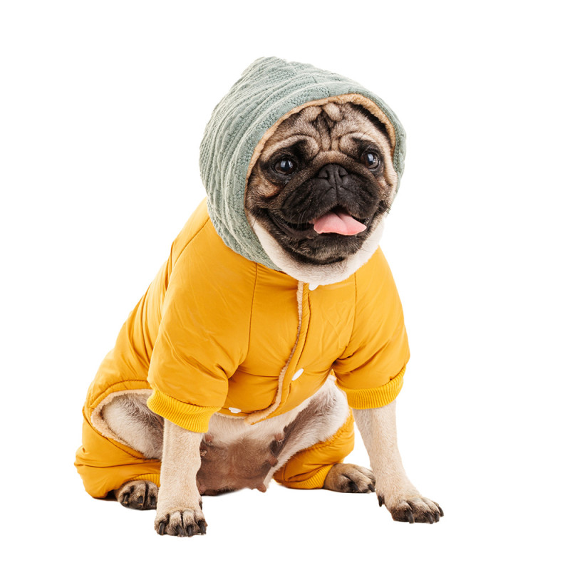 Petmax Комбинезон с капюшоном для собак, L, желтый (унисекс)