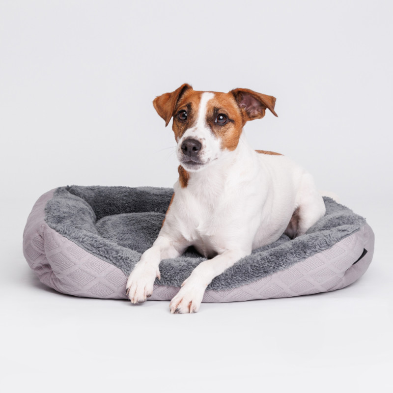 Petmax Лежак для собак и кошек, 55х45 см, серый