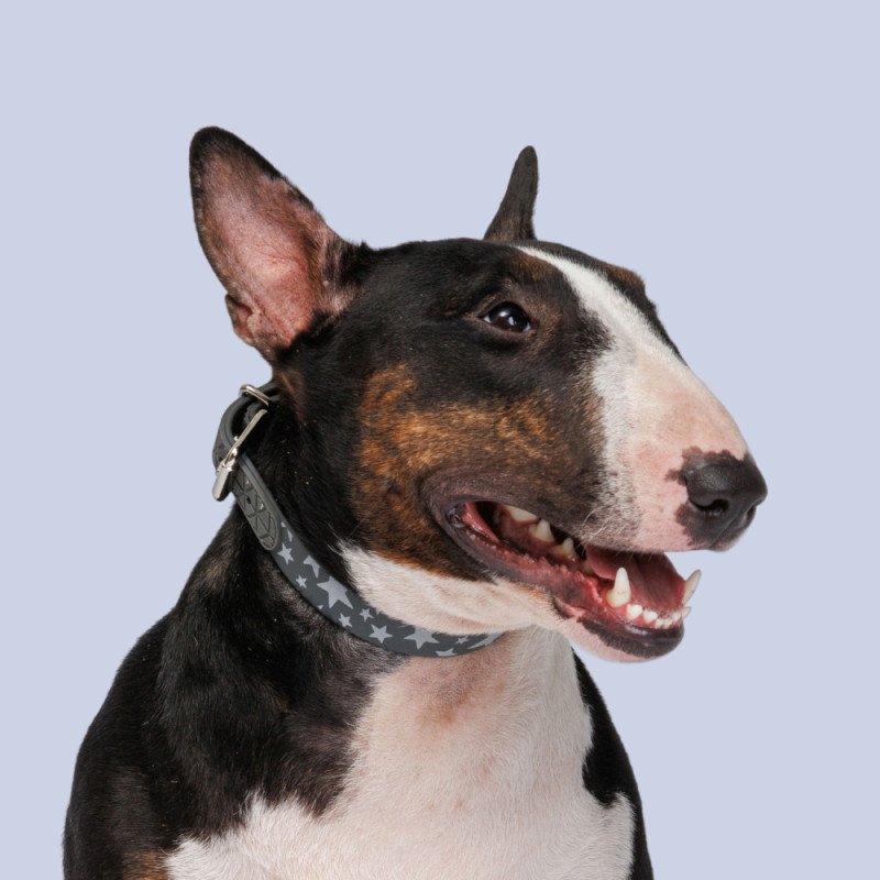 HiPet Ошейник для собак из биотана, обхват шеи 45 см, ширина 2 см, серый со звездами