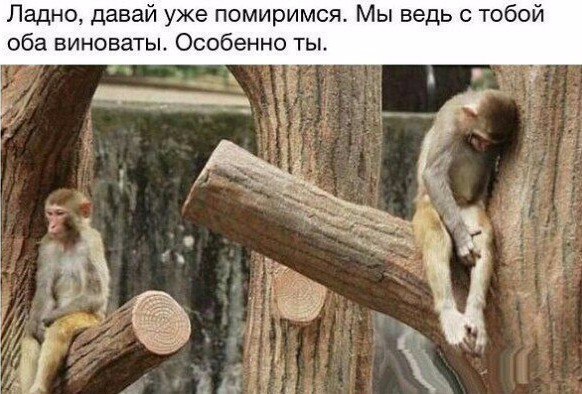 Давай помиримся!