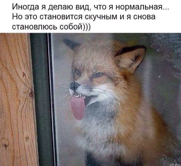 Скучно...