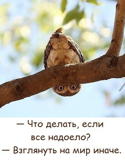 Взгляни на мир иначе!