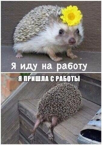 Работа...