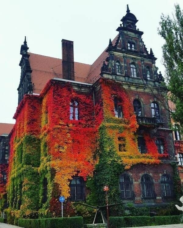 Кpaсотa