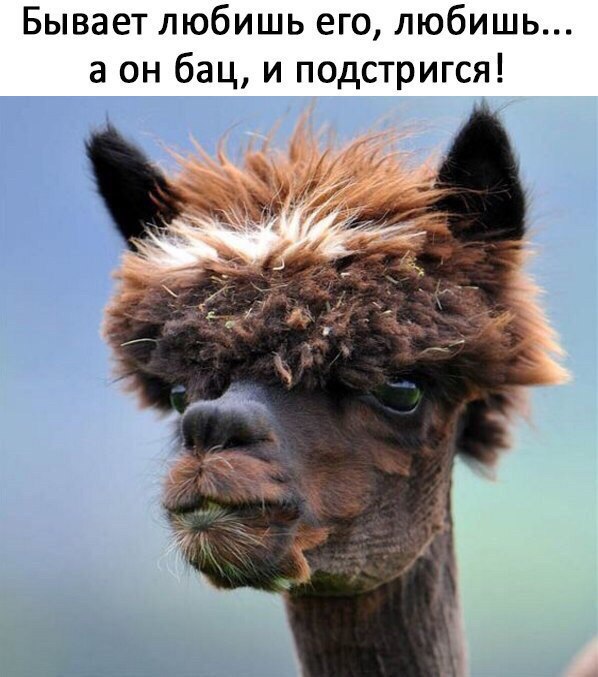 Подстригся...